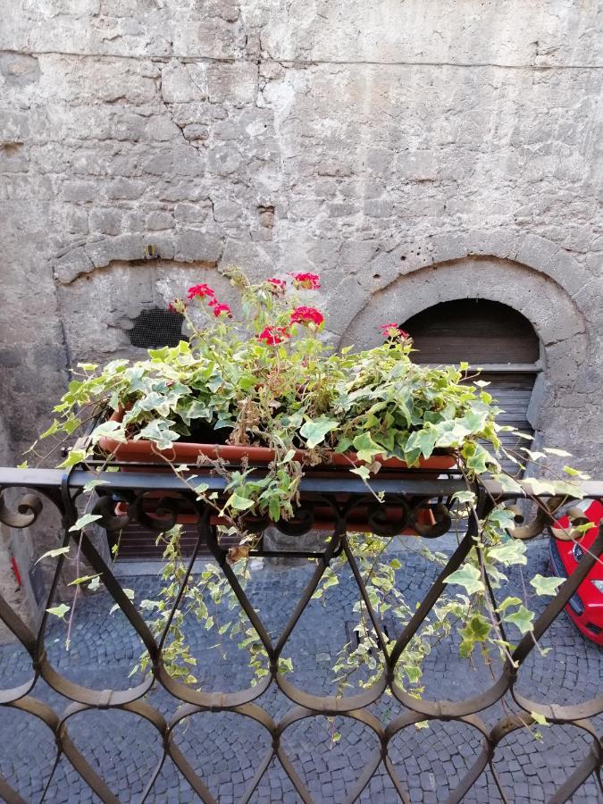 Alla Cava Orvieto Exterior foto
